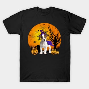 Happy Halloween Jack Russell Dogs Halloween Gift T-Shirt